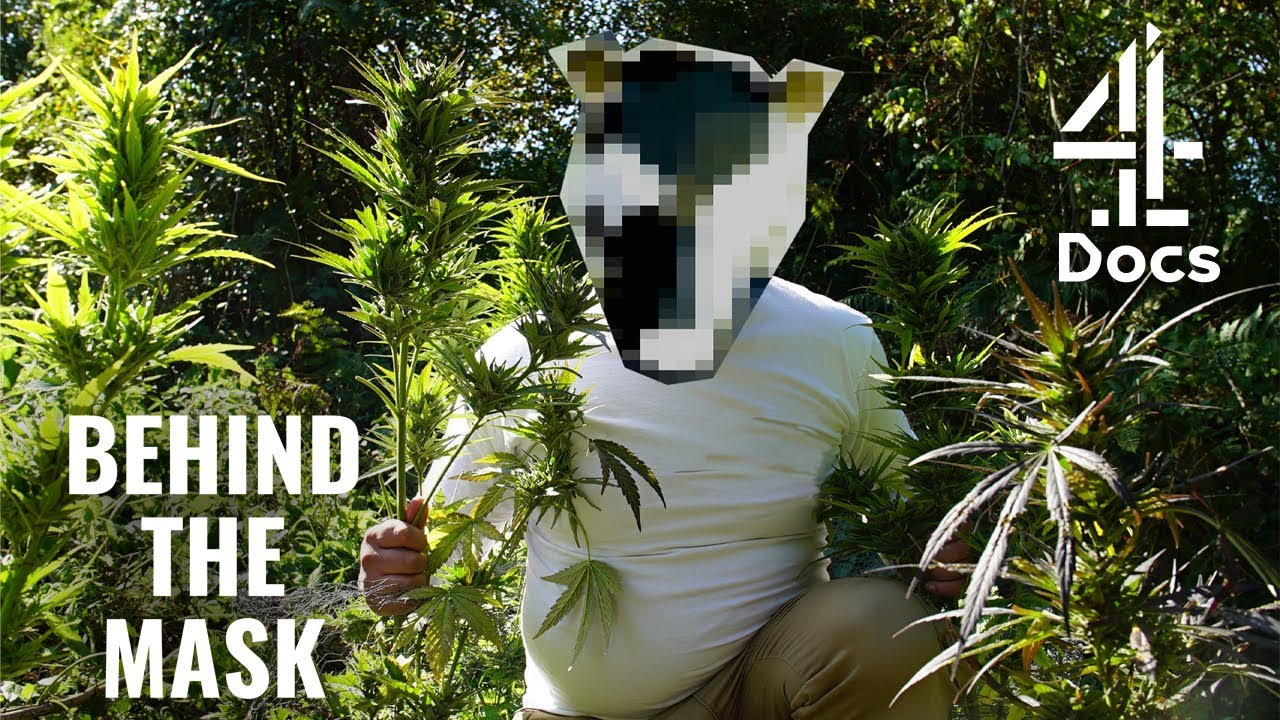 I Grow Cannabis On Other People&rsquo;s Land | Behind The Mask