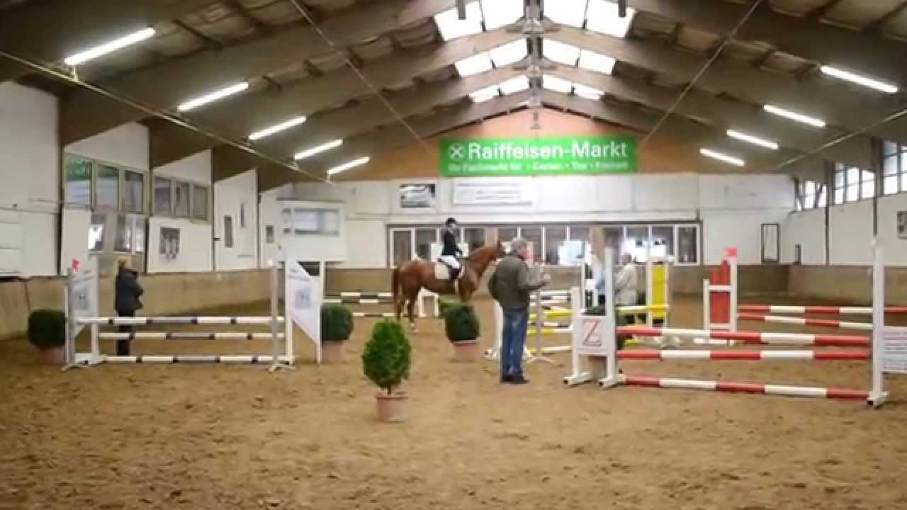 RA5 (kleines reitabzeichen) Springen