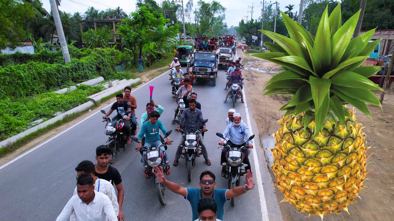 আনারস মার্কার নির্বাচনী স্লোগান সবার জন্য