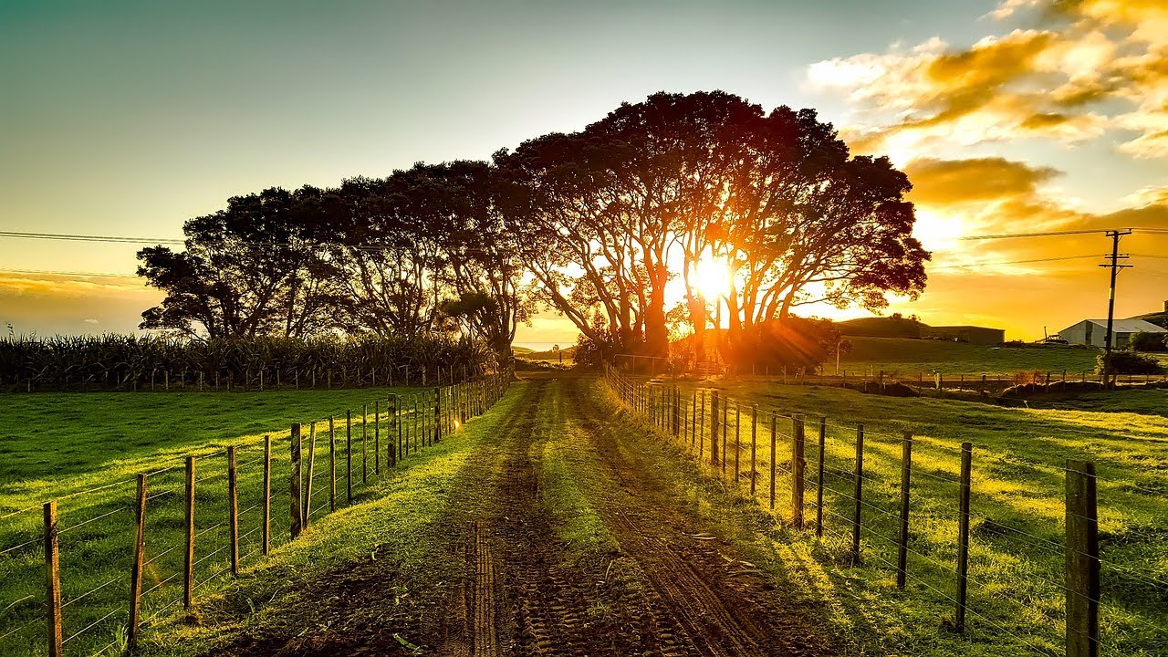 Ravishing Rolleston New Zealand 4K Video