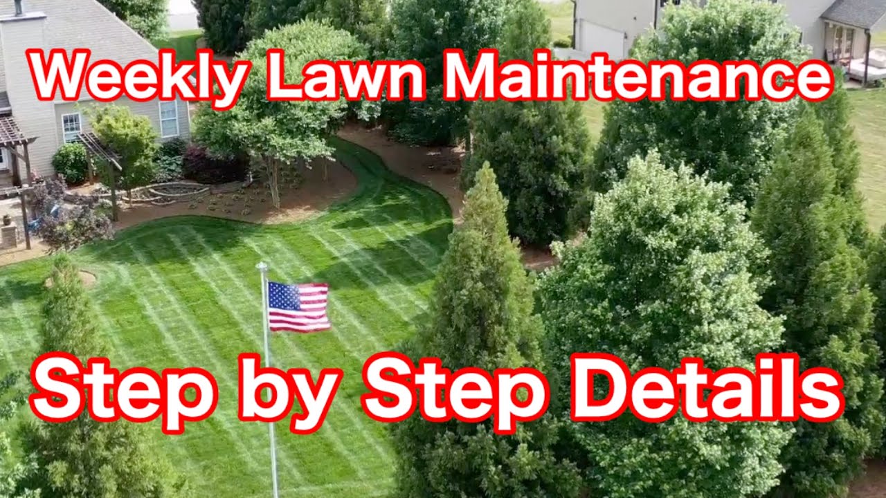 Weekly Lawn Maintenance Step by Step Details How To