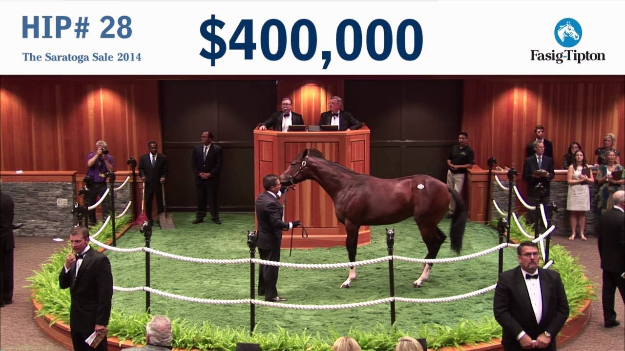 Before They Were Stars: Champion SONGBIRD at the 2014 Saratoga Sale
