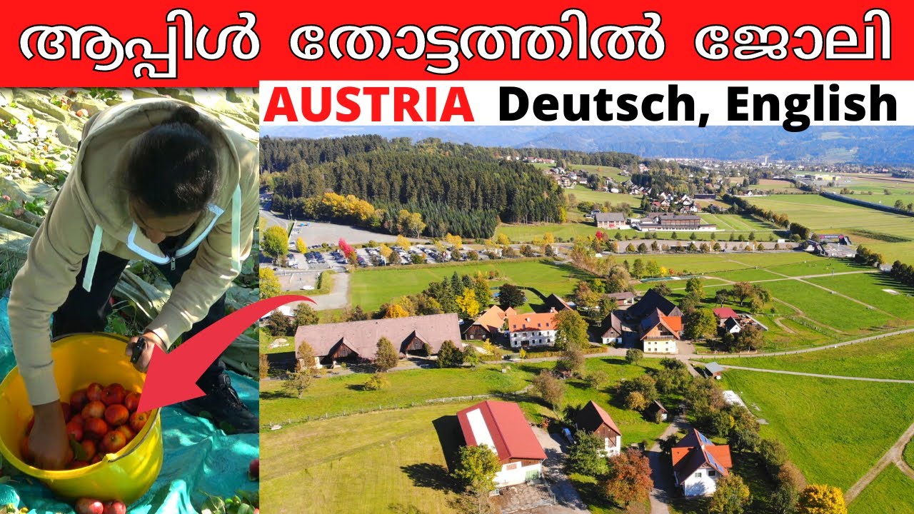 WORKING IN A APPLE FARM EUROPE AUSTRIA MALAYALAM 4K