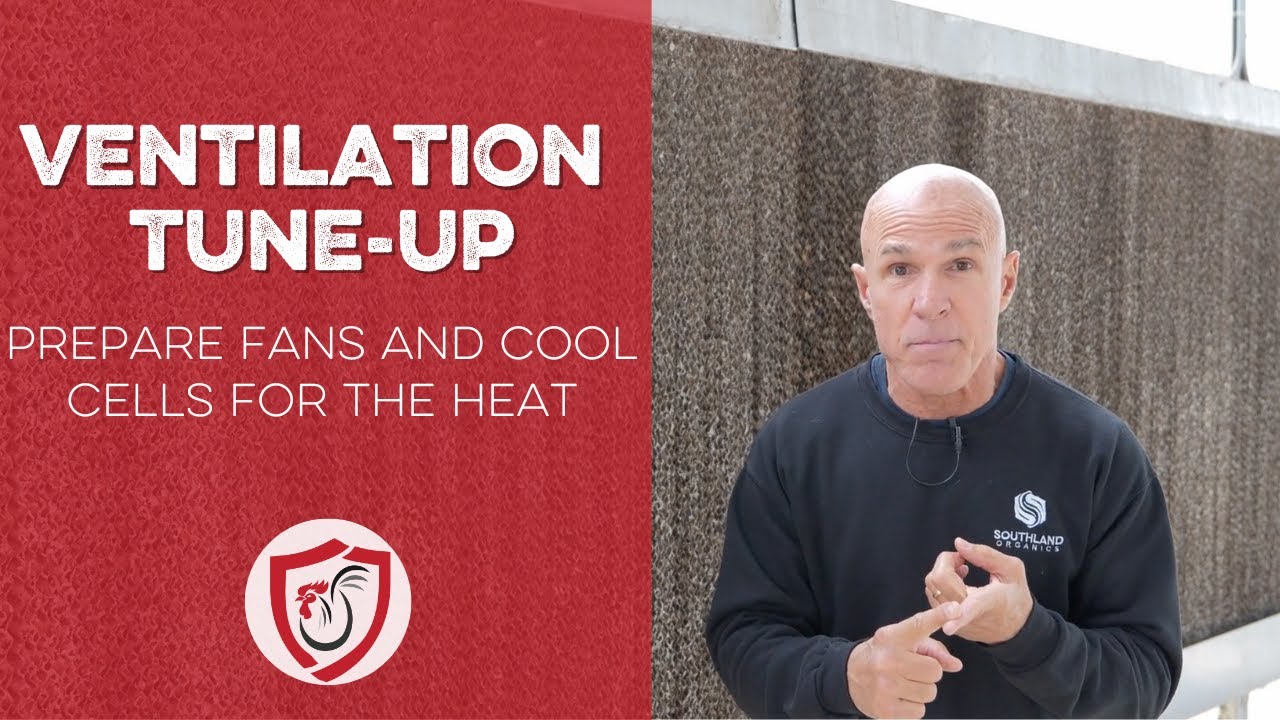 Ventilation in Poultry Farm: Tune-Up Before the Warm Months!