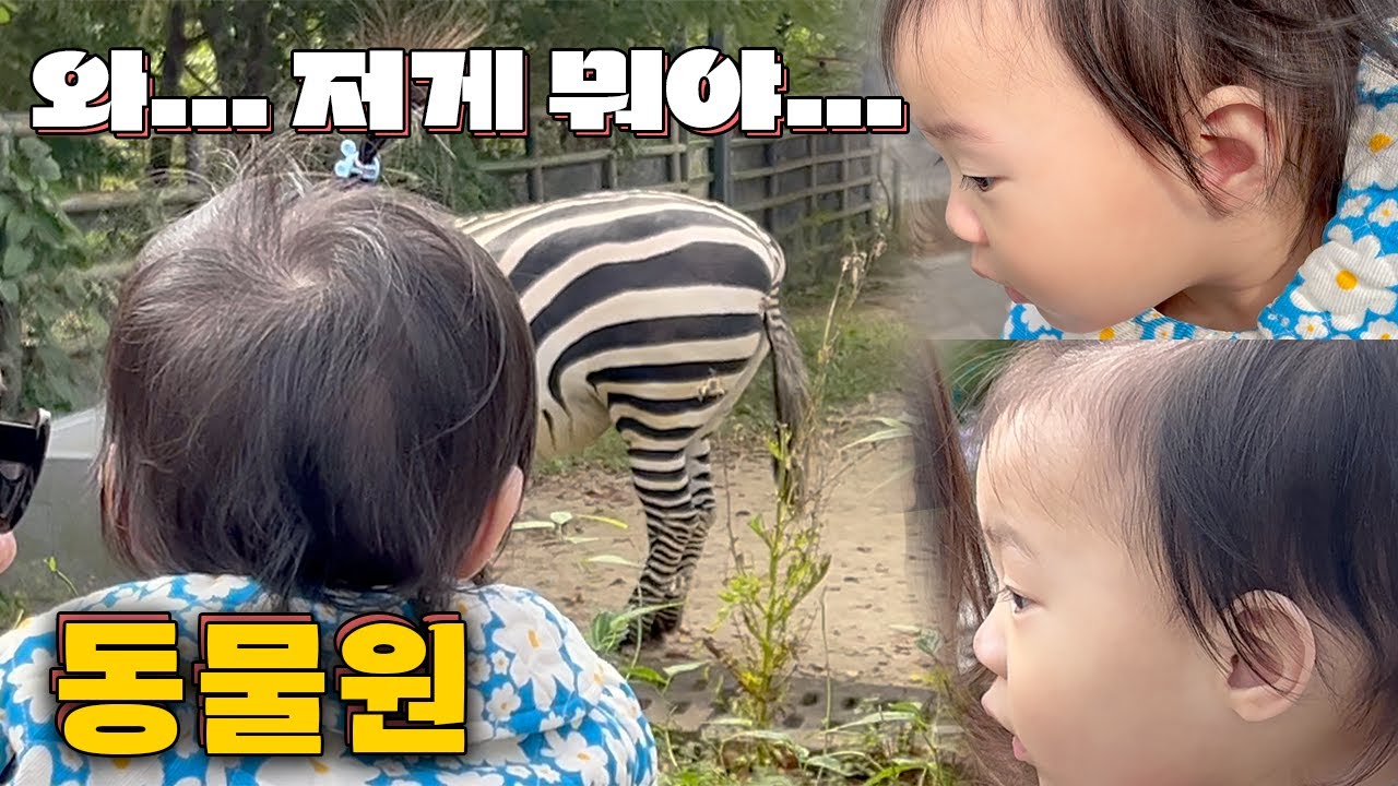동물원에서 동물을 처음 보고야 만 김리윤의 반응... 😳