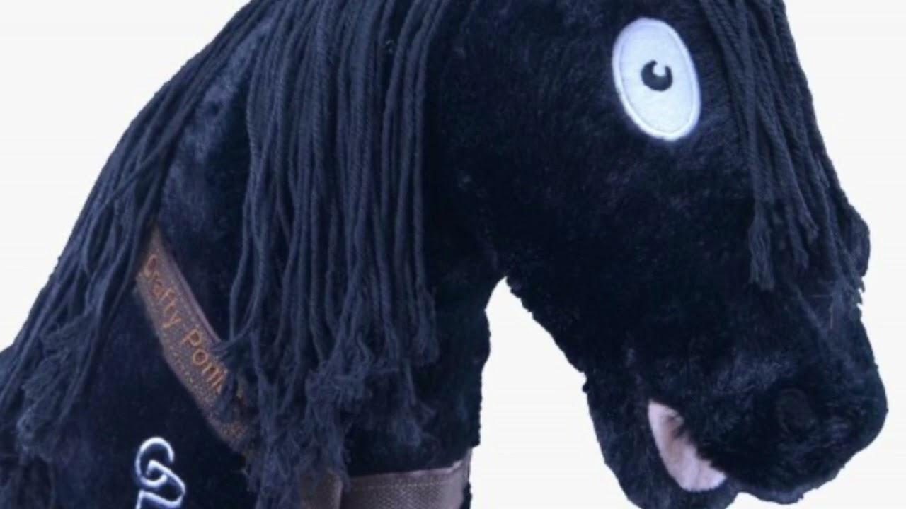 I made my first Hobby horse ASMR video using only hobby horse related things🫣