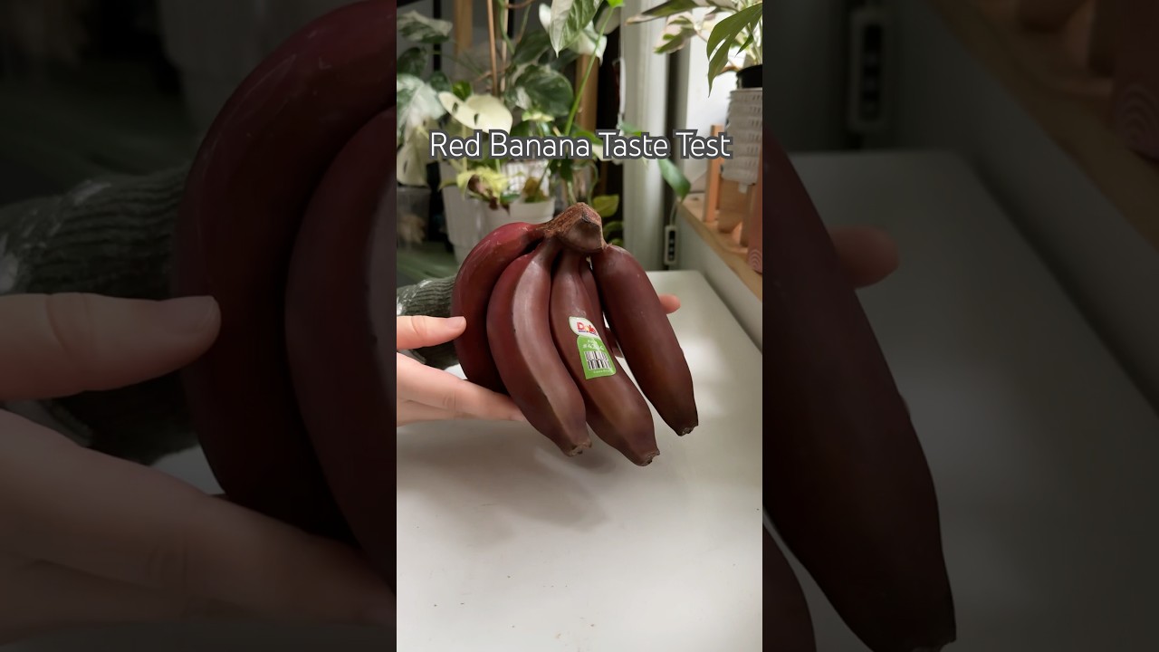 Red Banana #shorts #plants #banana #fruit #tastetest #snack #food #tropical #bananas