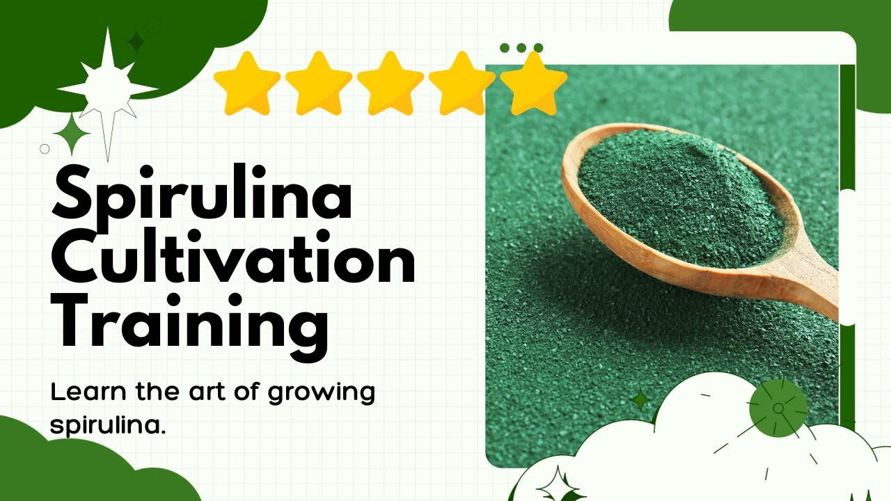 Learn Spirulina Production: Practical Training & Guidance