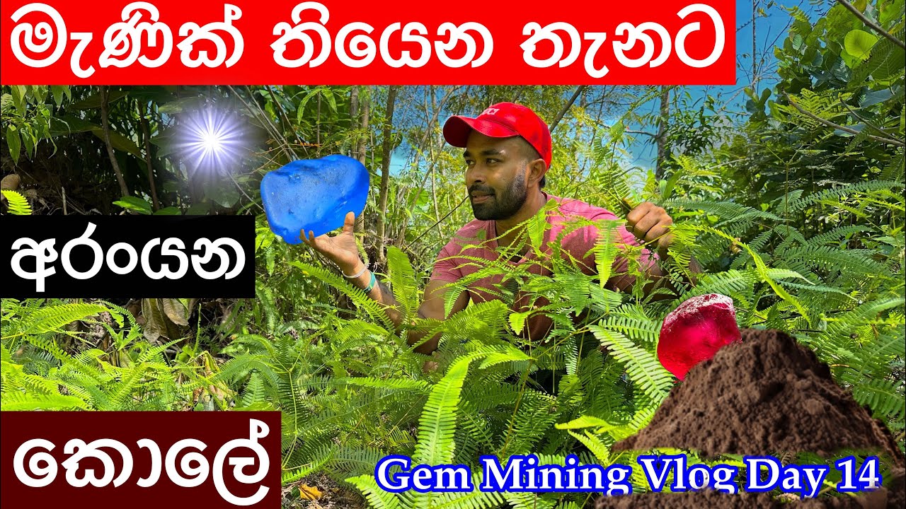 මැණික් හොයල දෙන කැලෑ කොලේ - Leaf That Lead To Gemstones - Gem Mining Vlog Day 14 #pooragems #gems