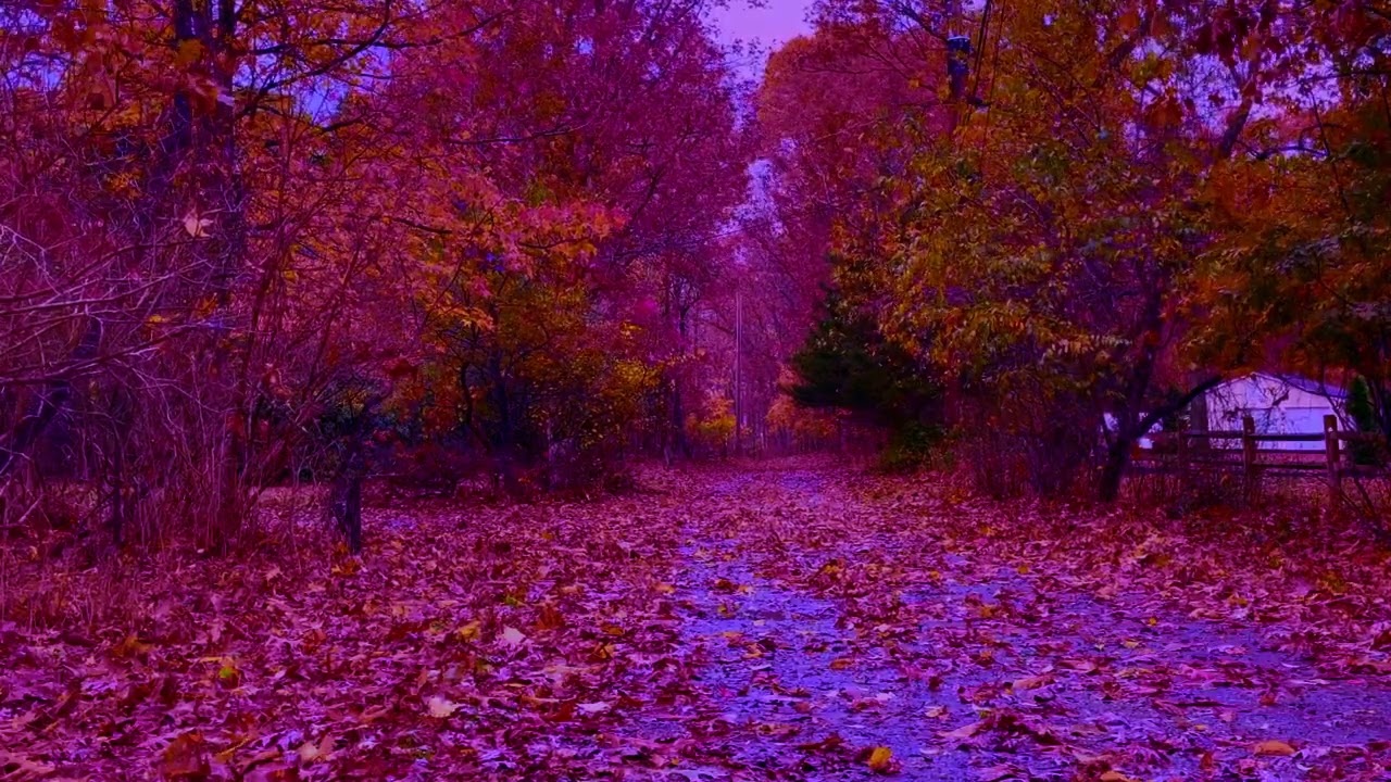 Autumn - You Over Them (Hate It) (Slowed)