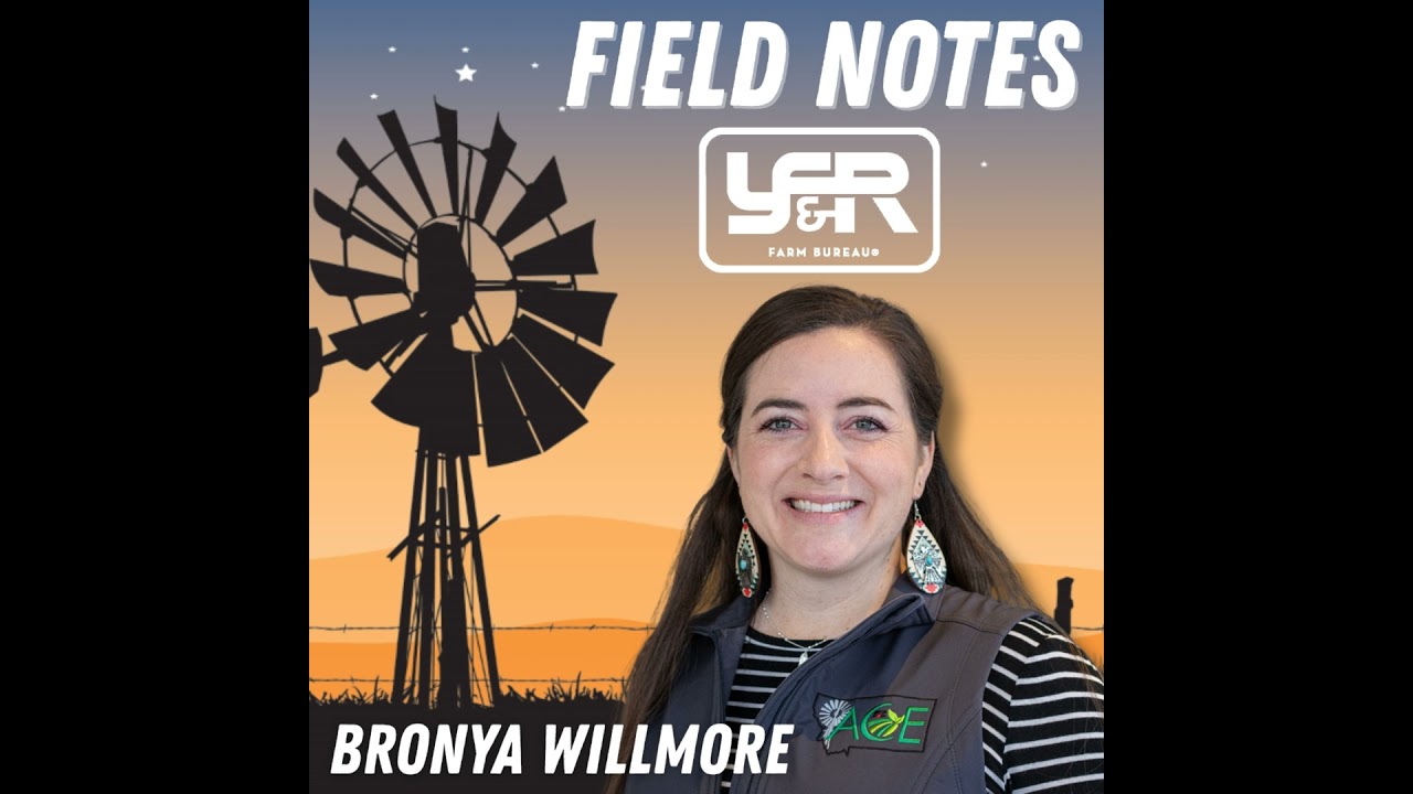 Bronya Willmore | Young Farmer & Rancher Field Notes