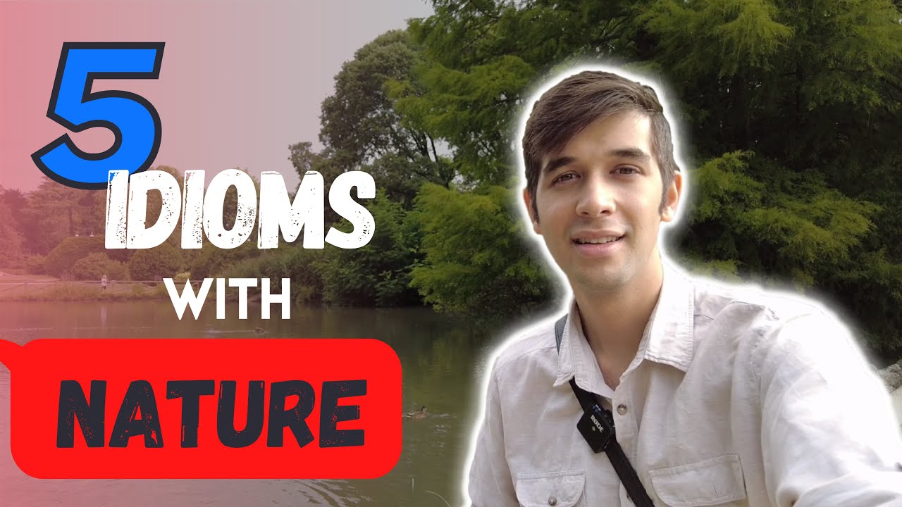 Learn English vocabulary || Nature idioms