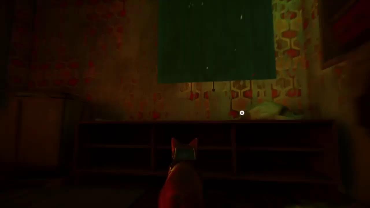 STRAY (PS4)