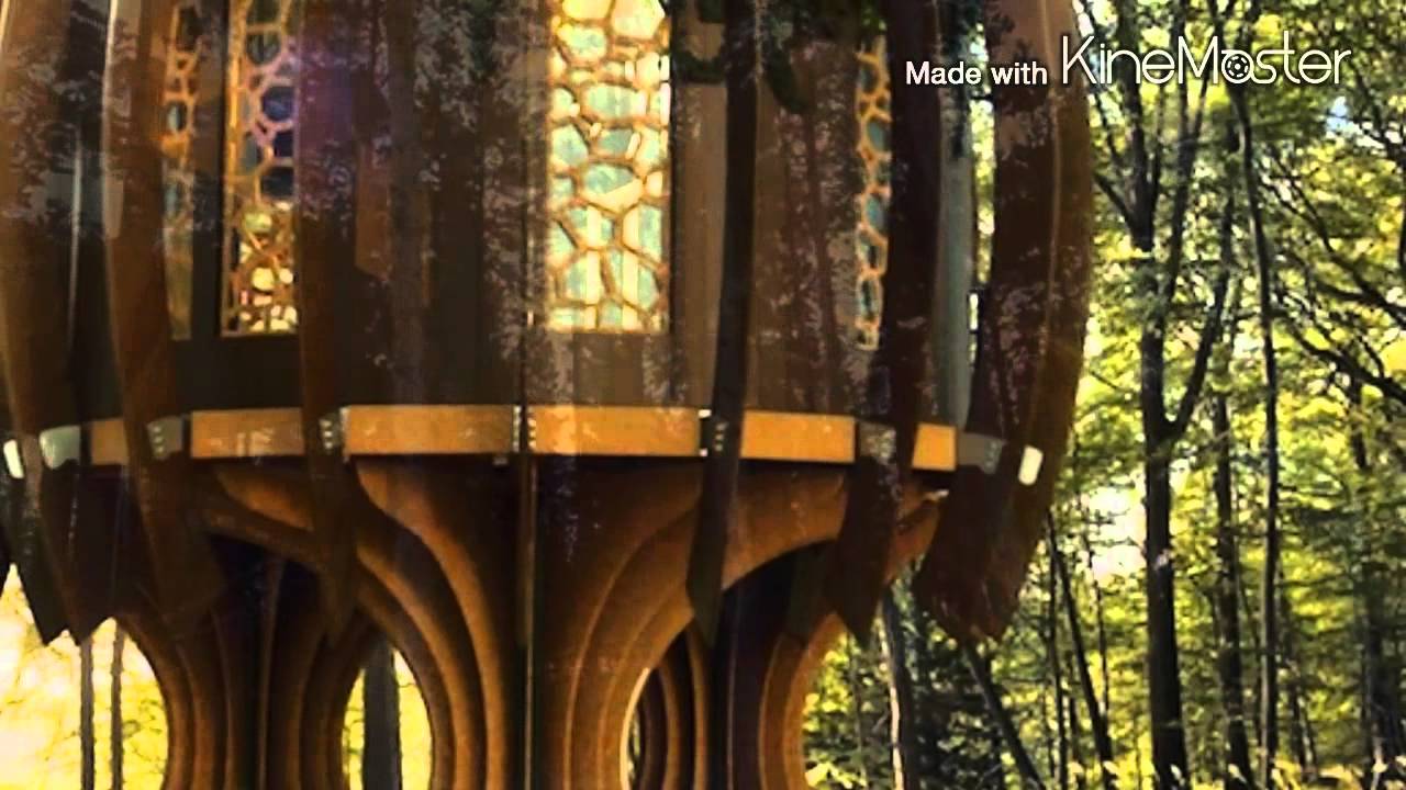 Les plus belles maisons dans les arbres...