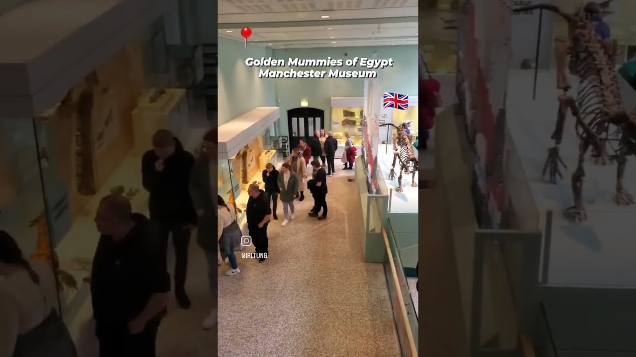 Golden Mummies of Egypt! 