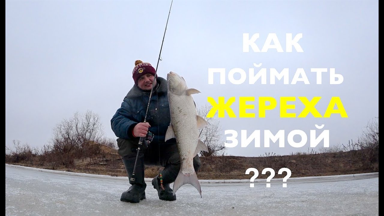 Как поймать ЖЕРЕХА зимой. Зимний ЖЕРЕХ настоящий боец !!Ares Lester Boron 800ML
