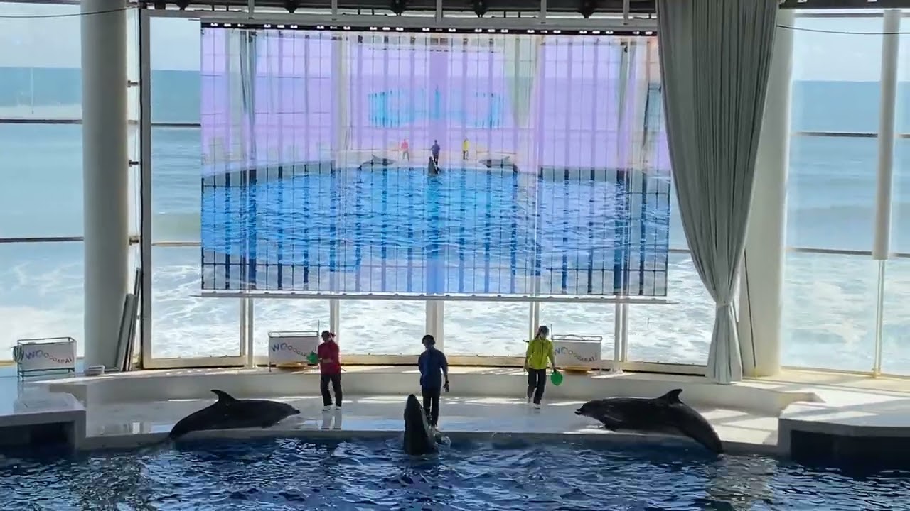 大洗水族館新オーシャンライブ26/3/12-10:30-02