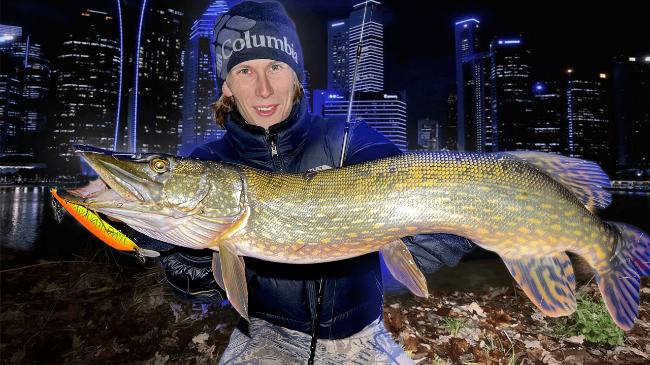 КРУПНАЯ ЩУКА В ГОРОДЕ! ВСЕ ОЧЕНЬ ПРОСТО