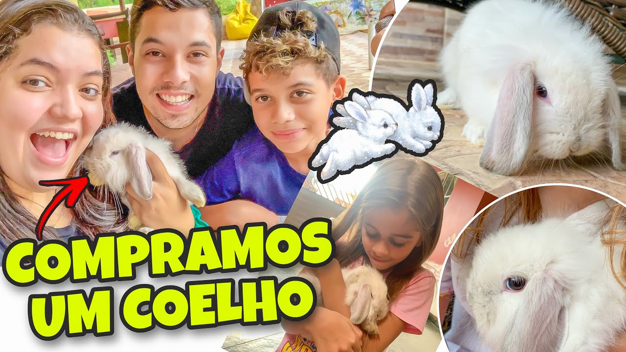 COMPRAMOS UM MINI COELHO !!