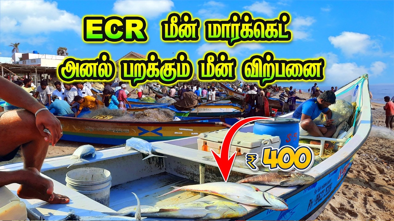 💥🐠ECR மீன் மார்க்கெட் |Fresh Fish Sale in beach #kasimedu #fishing #fish #food #vanagaram