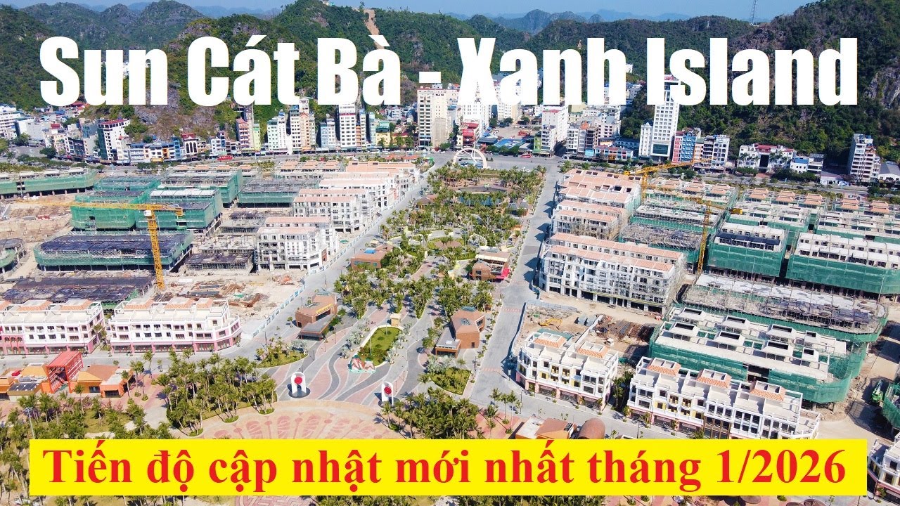 TOÀN CẢNH TIẾN ĐỘ SUN CÁT BÀ - XANH ISLAND MỚI NHẤT THÁNG 1/2026 - TRẦN THÀNH BĐS