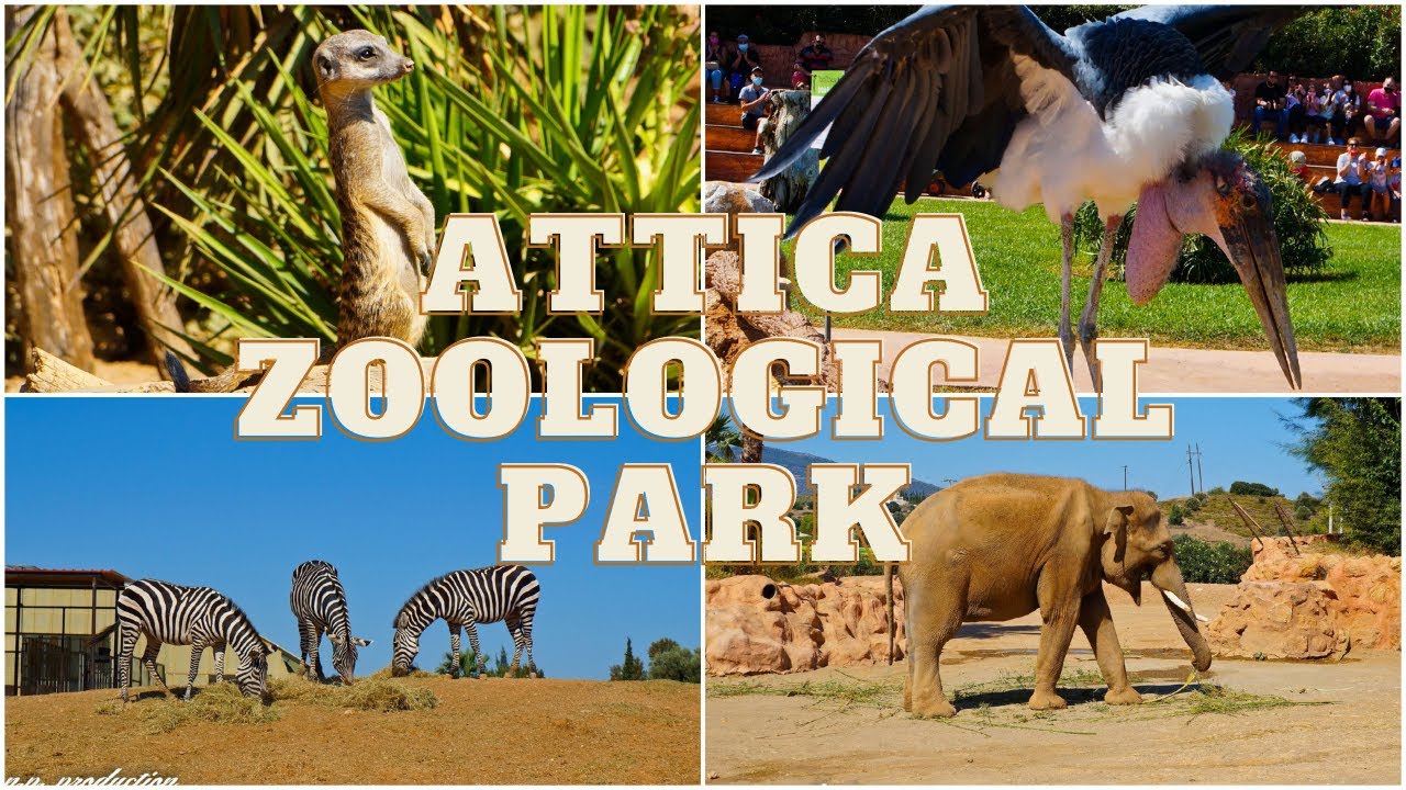 Βόλτα στο Αττικό Ζωολογικό Πάρκο - Attica Zoo Park