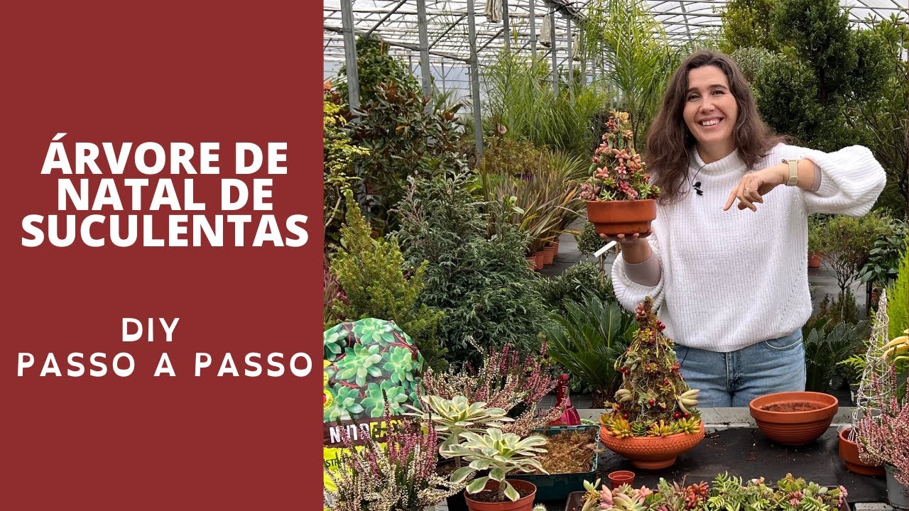 Árvores de natal de suculentas - o passo a passo