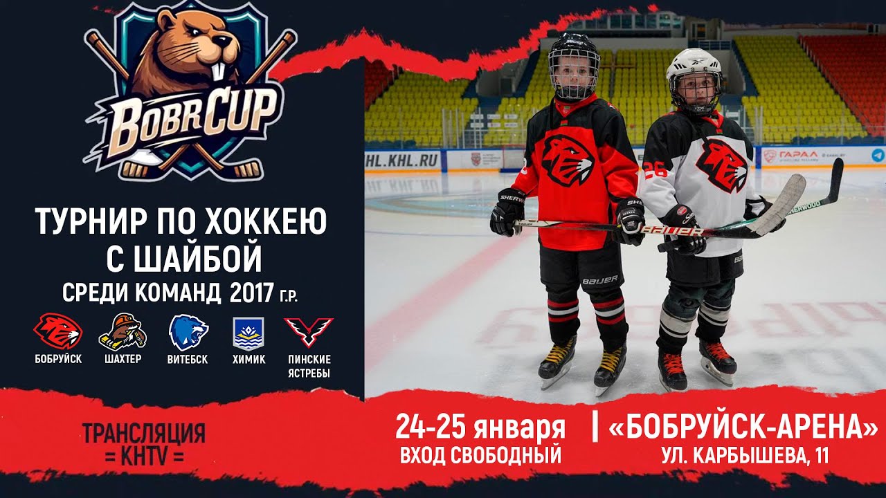 24.01.2026. BC. 2017. ПП. Химик - Пинские Ястребы-2