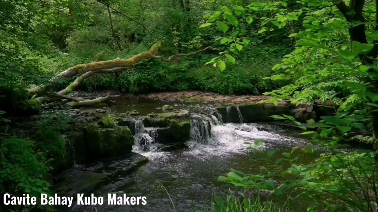 40 Minutes Relaxing Nature Sounds 🌿 Water Stream & Forest Ambience | Stress Relief & Deep Relaxation