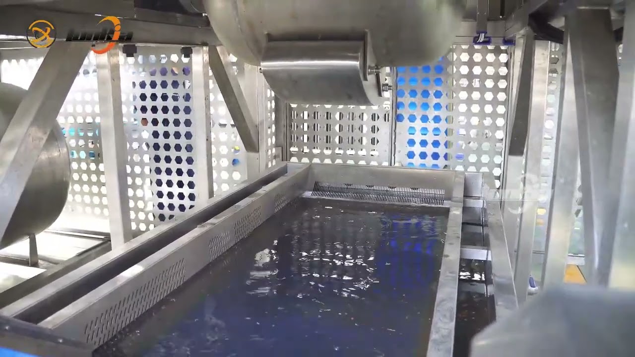 Steam Peeling Machine for Potato, Radish and Cassava | Industrial Food Processing Equipment