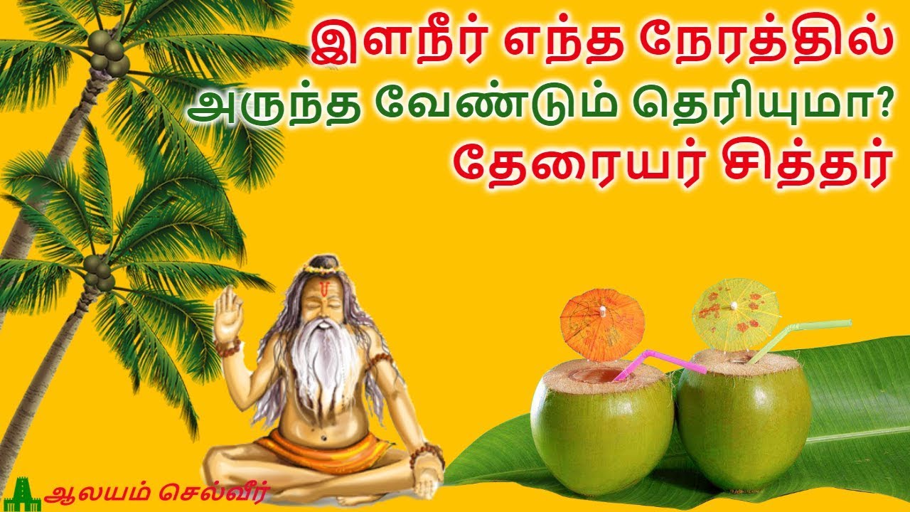 இளநீர் எந்த நேரத்தில் அருந்த வேண்டும் தெரியுமா?- தேரையர் சித்தர் | Tender Coconut in Tamil