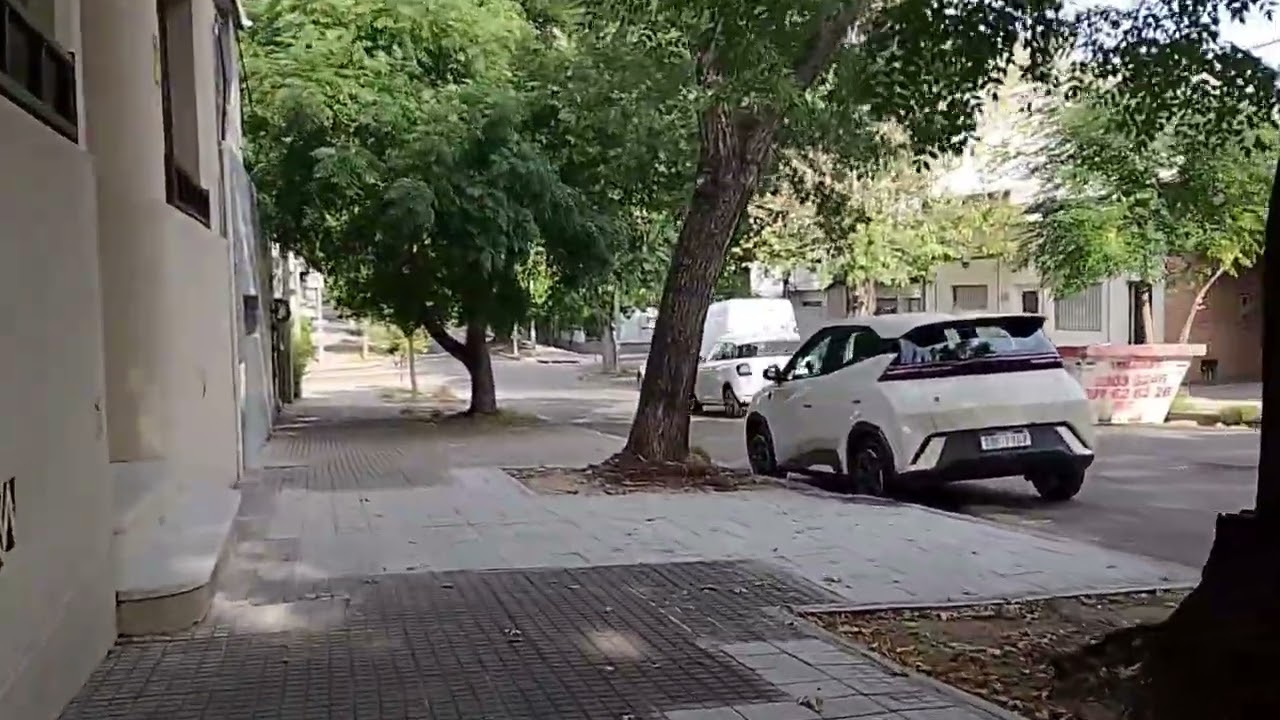 Montevideo y los árboles. Naturaleza trae salud. #shinrinyoku #nature #montevideo #bañodebosque