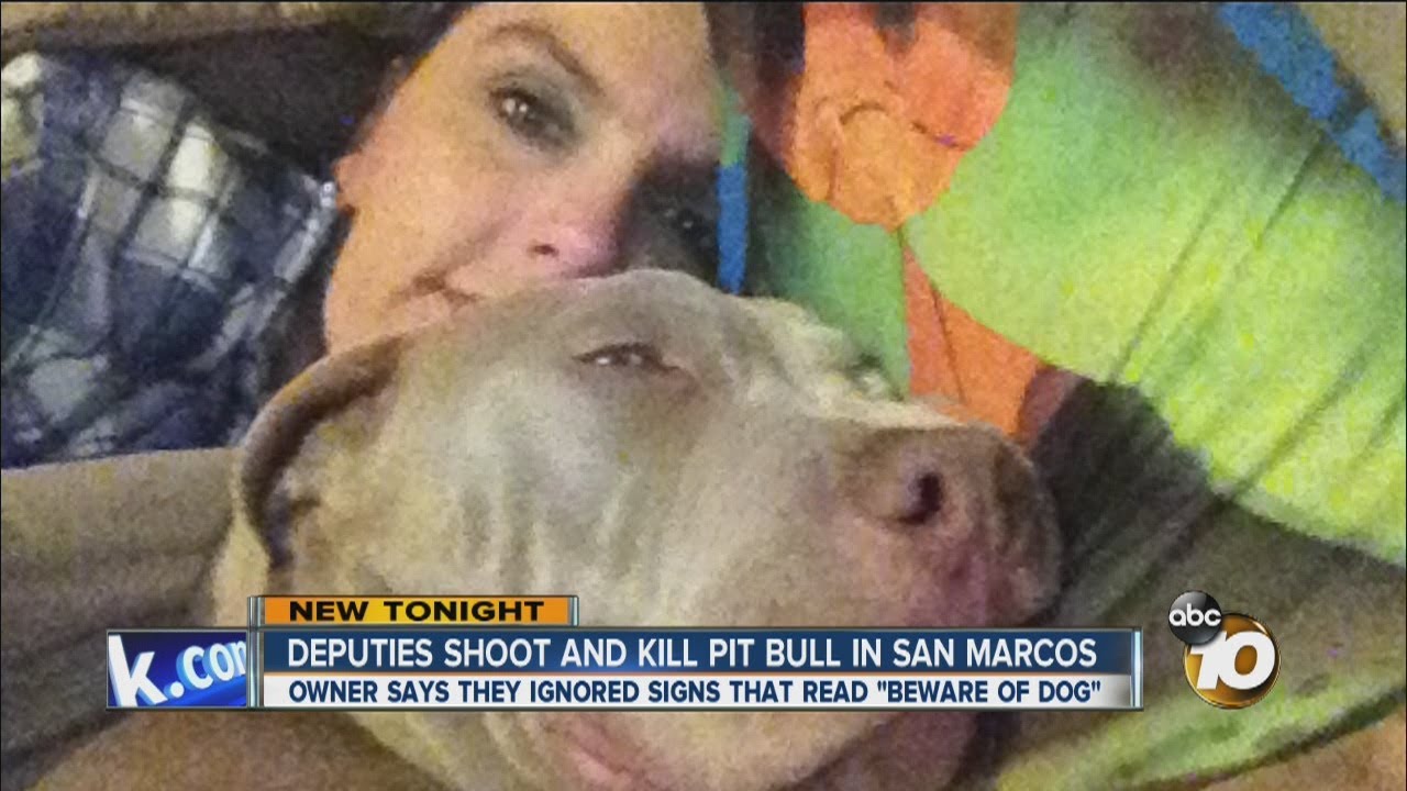 Dog owner says deputies ignored 'Beware of Dog' sign before shooting pit bull