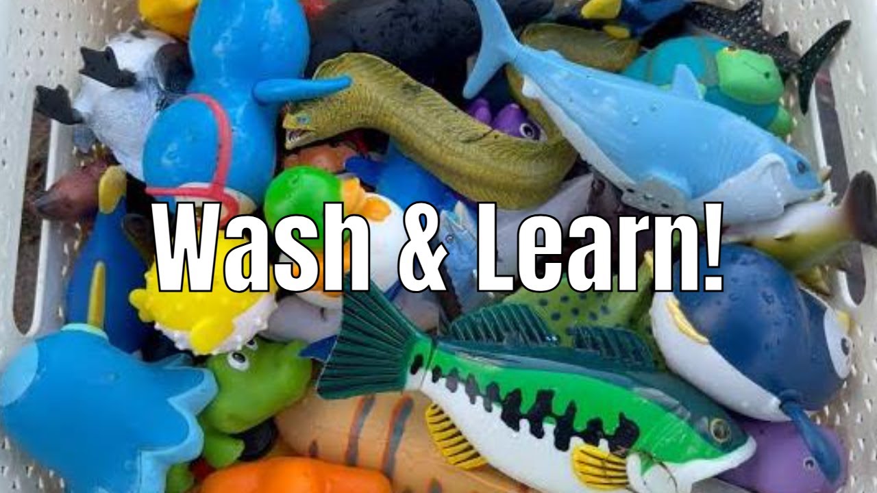 Clean Toys & Learn Ocean Names!