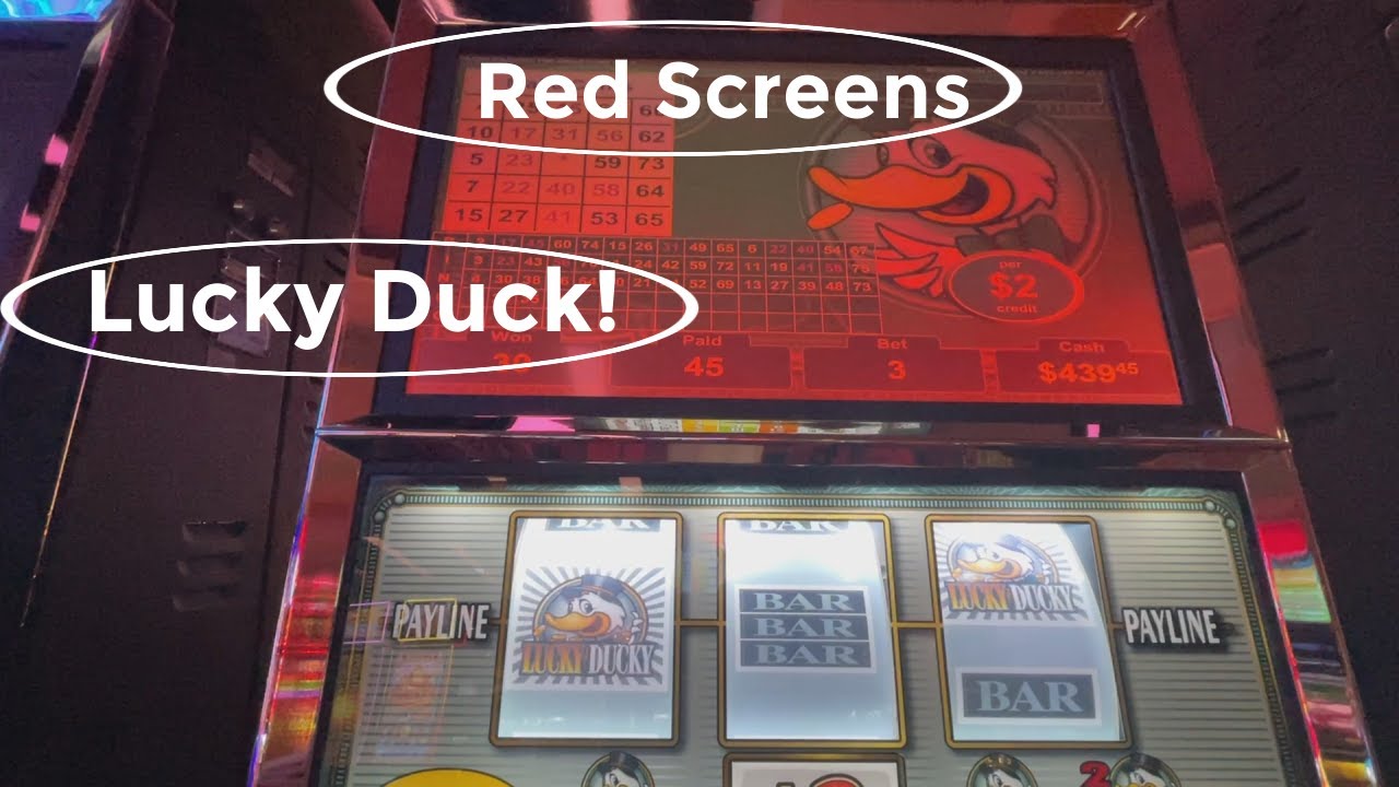 Lucky Duck came to play!