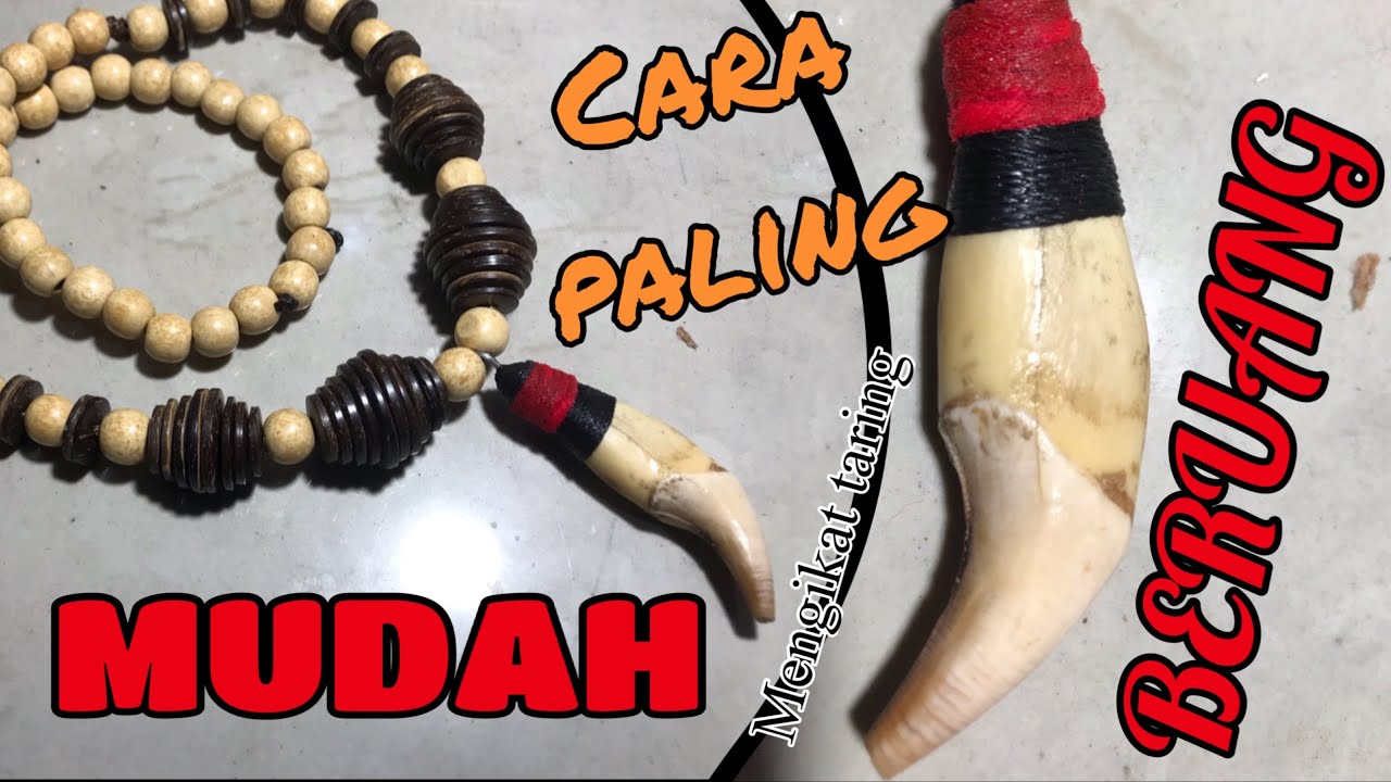 Tutorial cara mengikat taring beruang paling mudah | liontin kalung | kesenian kalimantan |DIY craft