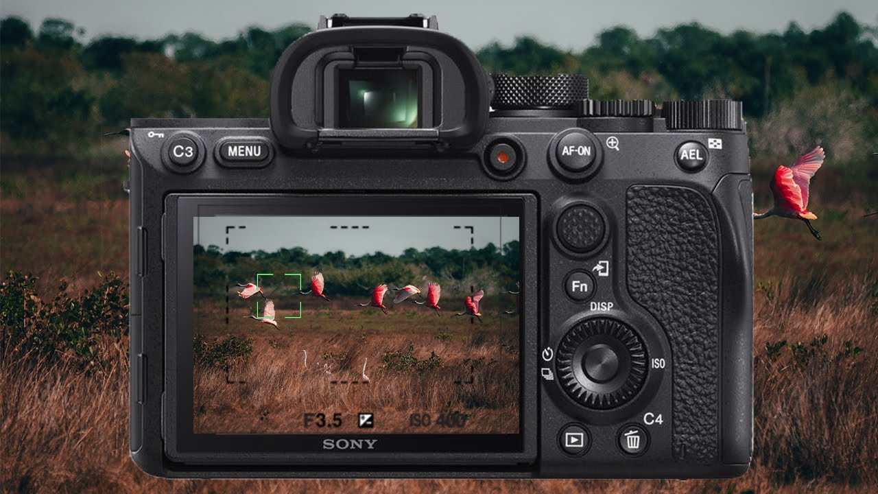 Лучшие настройки автофокуса для Sony A7RIV: запечатлейте действие! Меню A7RIV
