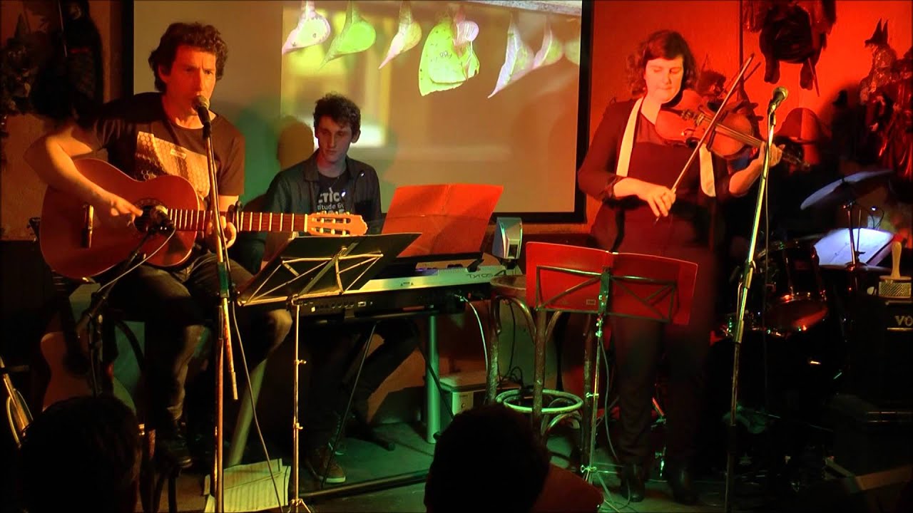 Ne schone vlinder - De Muze