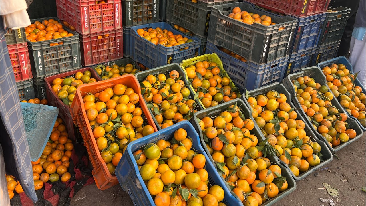Moradabad Mandi samiti Fruit sale For explorer 