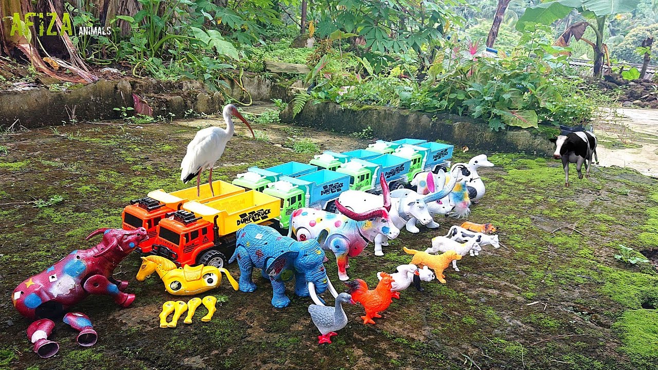Truk Gandeng Angkut Sapi Sapi Lucu Sapi Kurban Sapi Ngamuk Sapi Moo Kerbau Gajah Kepiting Dinosaurus