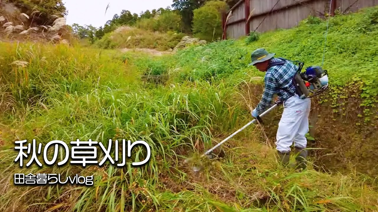 【田舎暮らし】今年の草刈りも終わりかな？【山口県】【vlog】