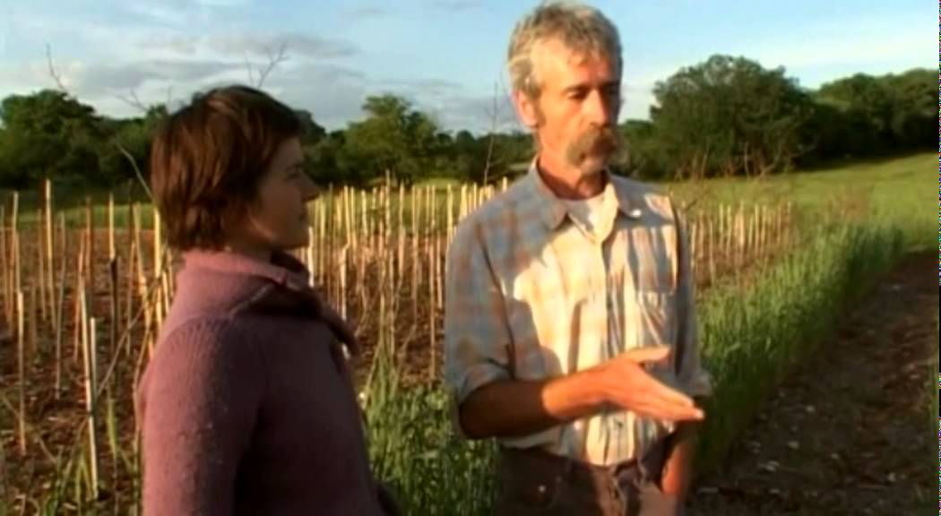 L'abondance naturelle au potager avec le Bois Raméal Fragmenté, BRF