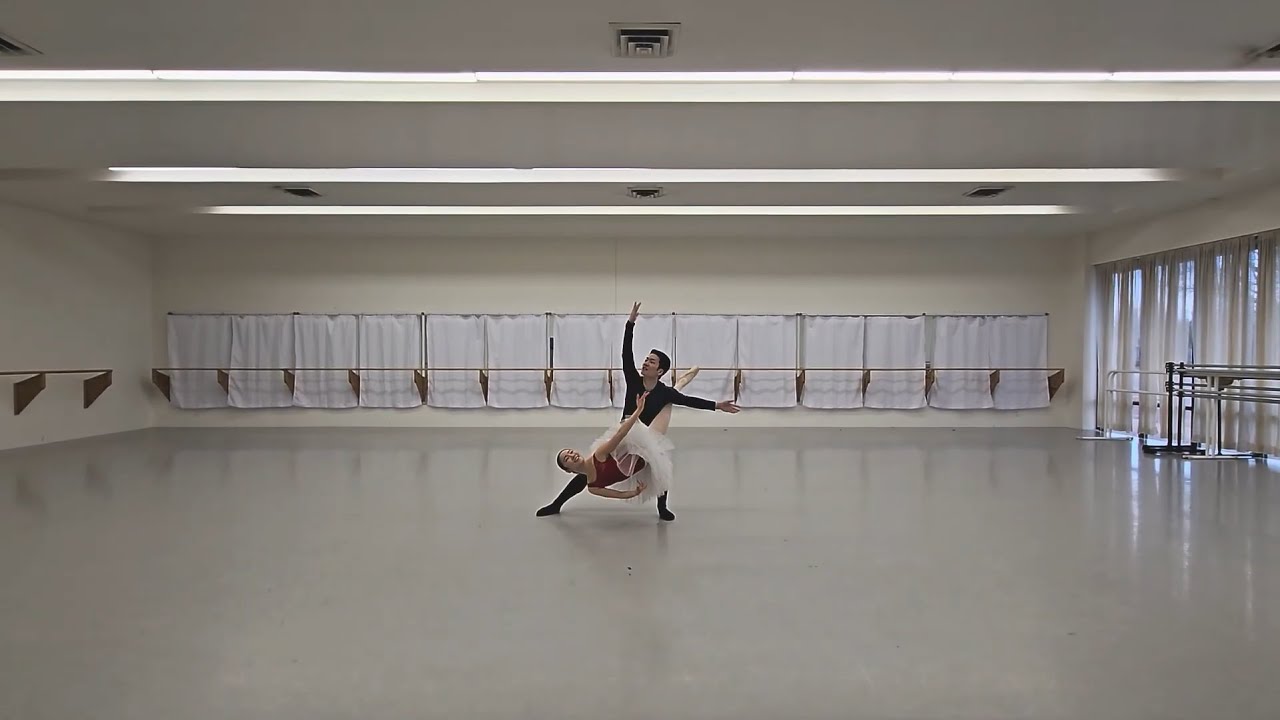 Don Quixote Pas de Deux, Act lll - Natsuho Noguchi & Taigo Watanabe