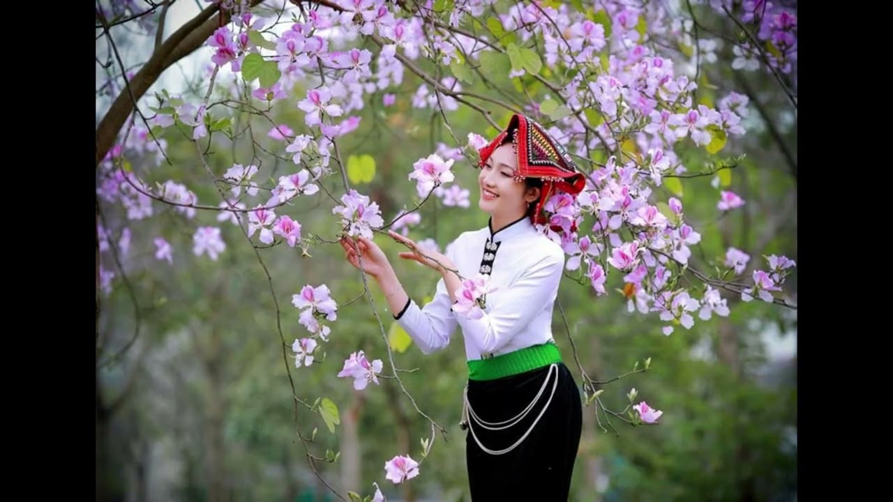 HOA BAN CHIỀU XUÂN