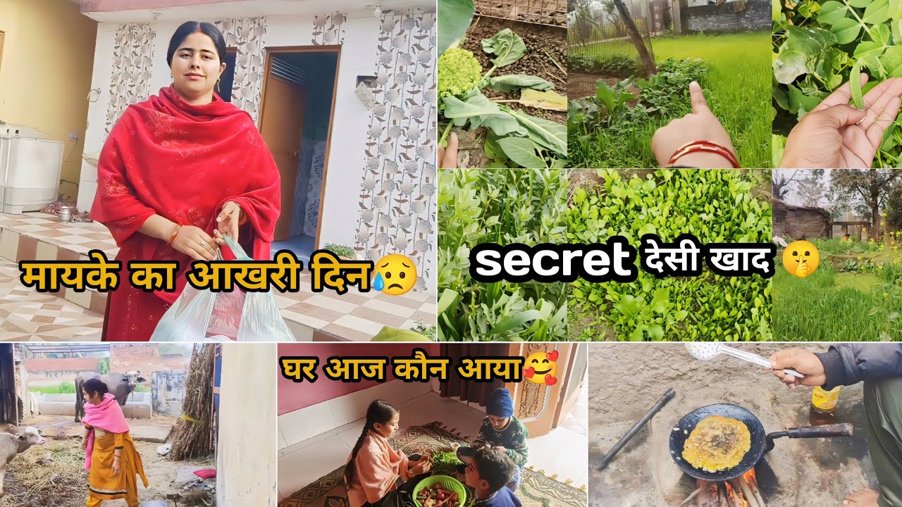 मायके की आख़िरी सुबह! 🥺 मम्मा के साथ खेत का काम और सब्जियों का 'Secret' खाद 🌱 घर वापसी..