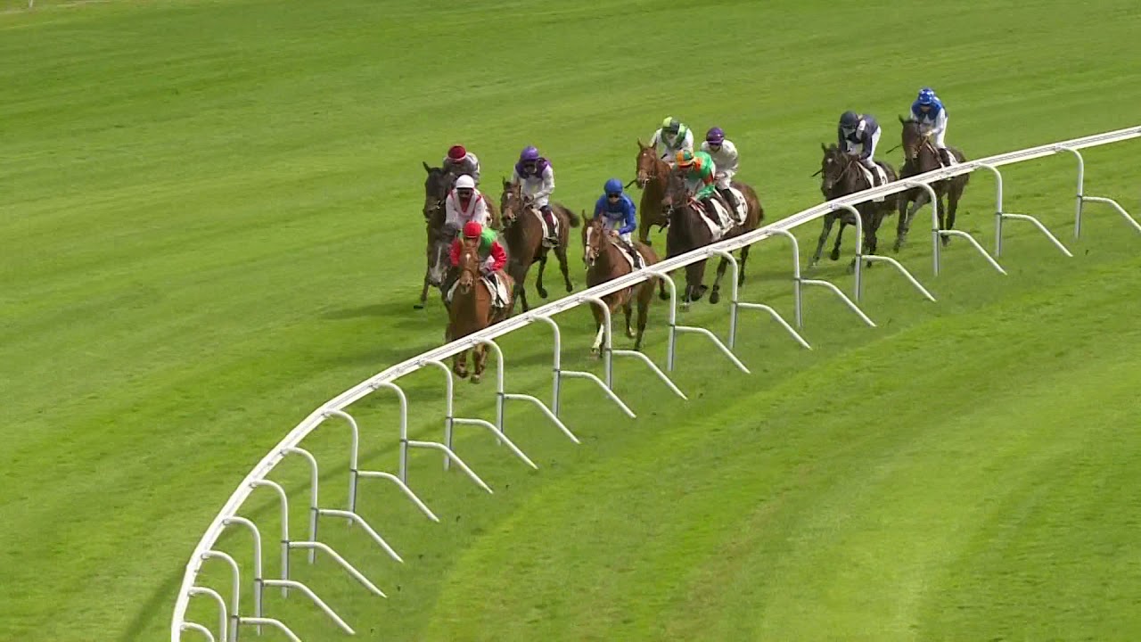 [COURSE &Eacute;COLE] Prix de l&rsquo;Association des Entraineurs de Galop de Saint-Cloud | 26 mai 2021 | GALOP