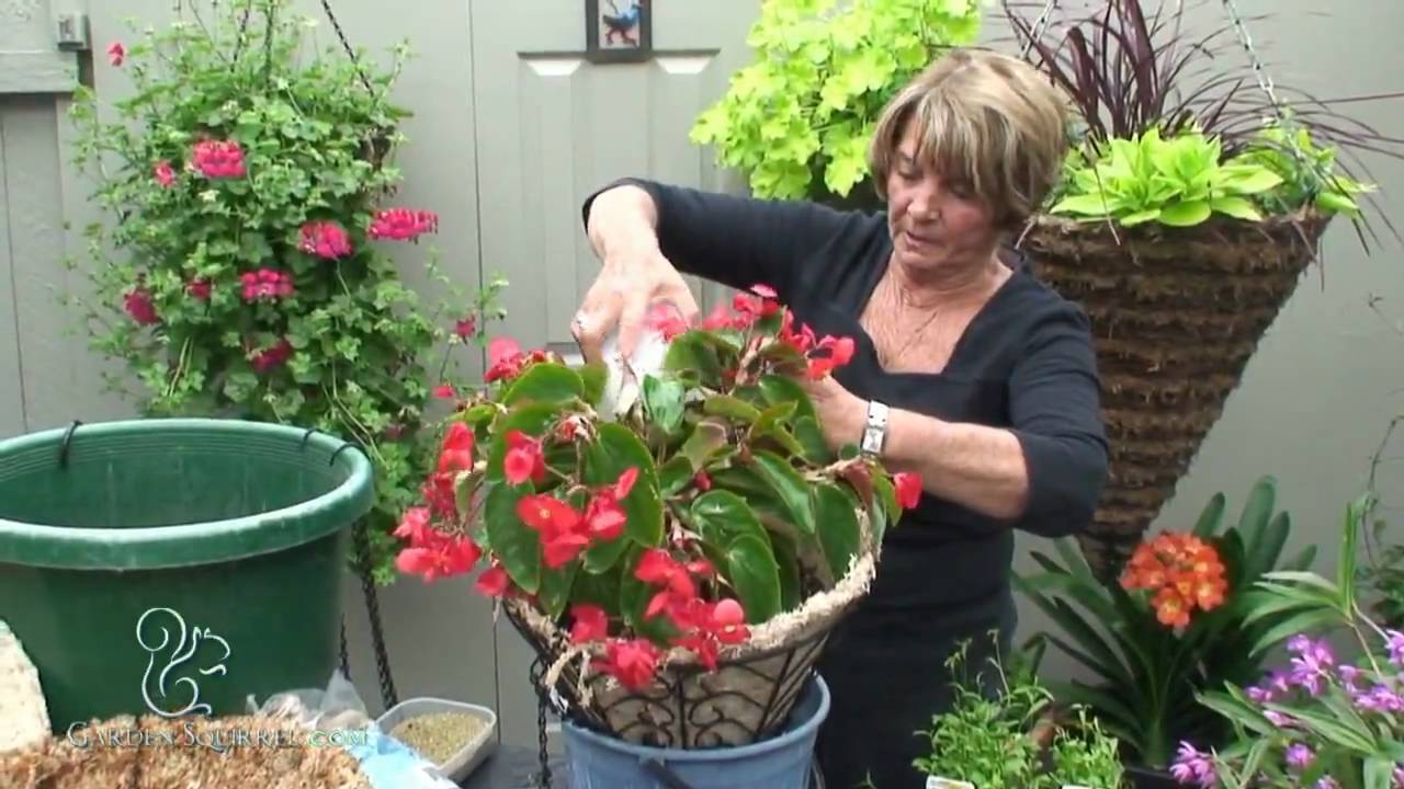 Hanging Planters - Easy (Moss)