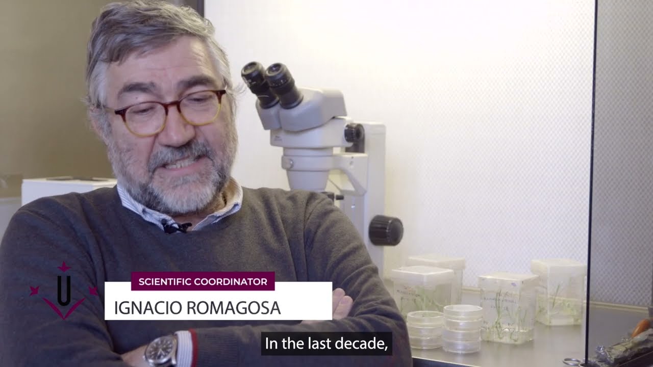 Plant Genetics, Genomics and Breeding | International Master | CIHEAM Zaragoza