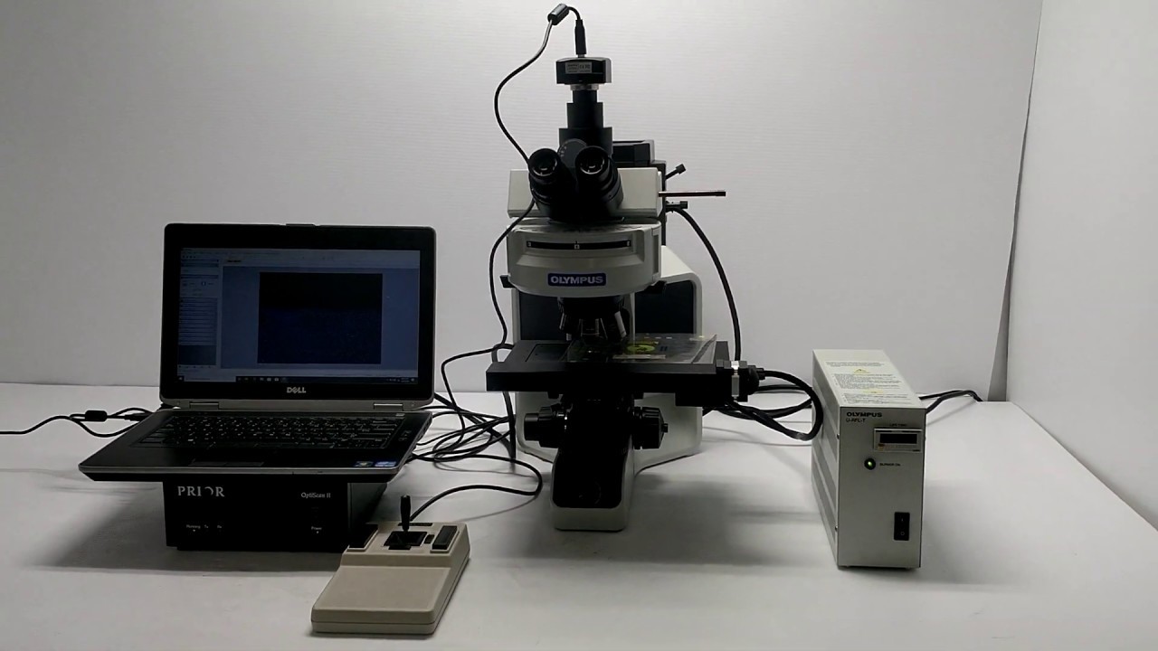 Olympus BX43 Fluorescence Motorized Microscope [BOSTONIND] - 16827