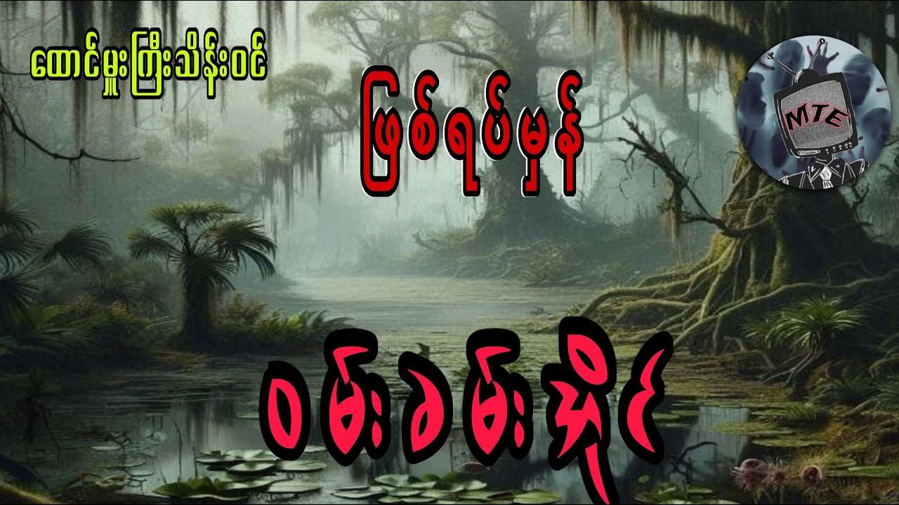 ထောင်မှူးကြီးသိန်းဝင်း  ဝမ်းခမ်းအိုင်(စ/ဆုံး)ဖြစ်ရပ်မှန်